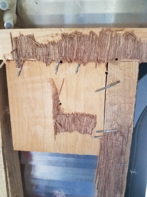 The interior wall of a travel trailer showing staples in plywood
