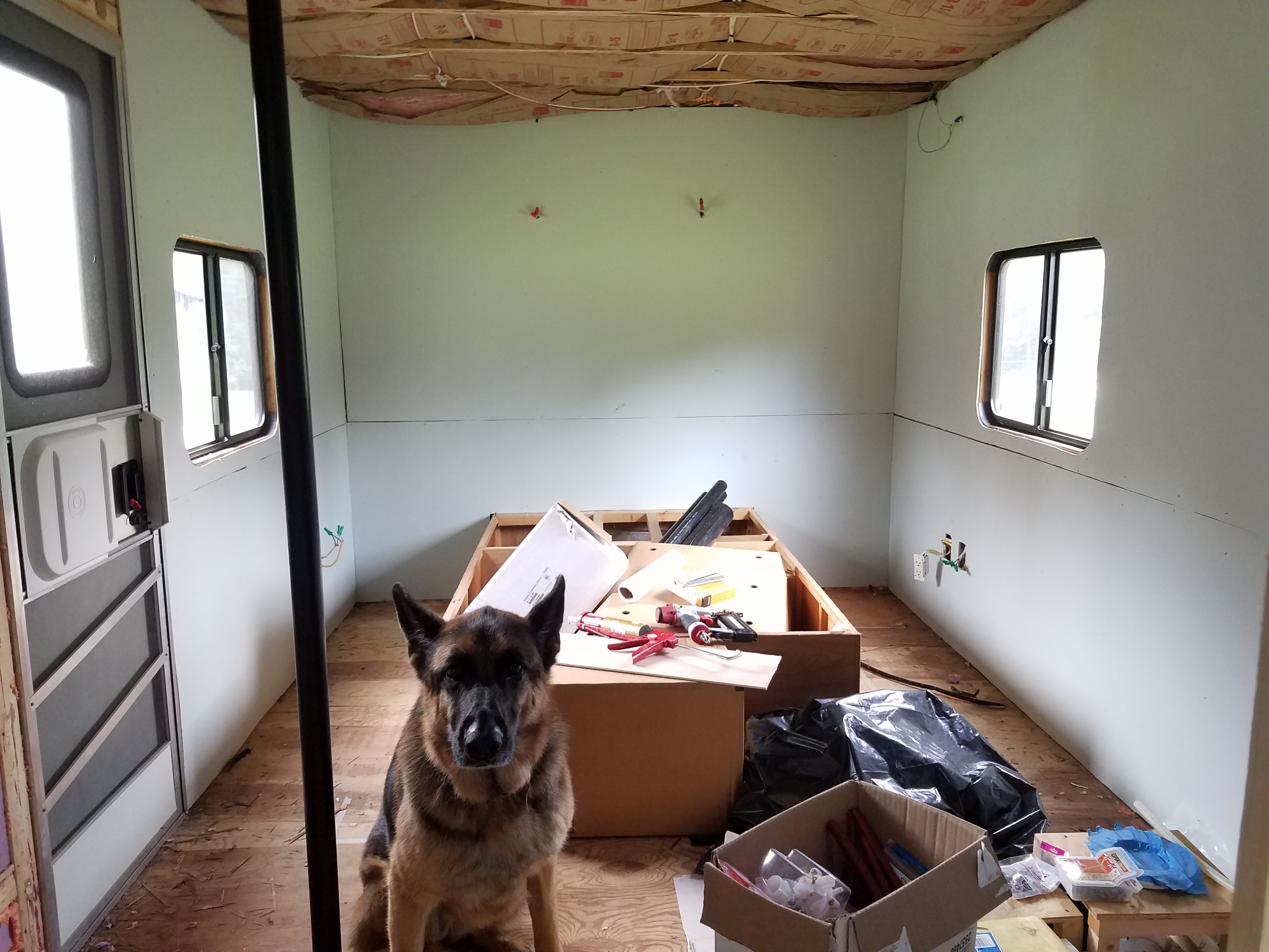 The inside of the travel trailer with new wall panels and a german shepherd dog