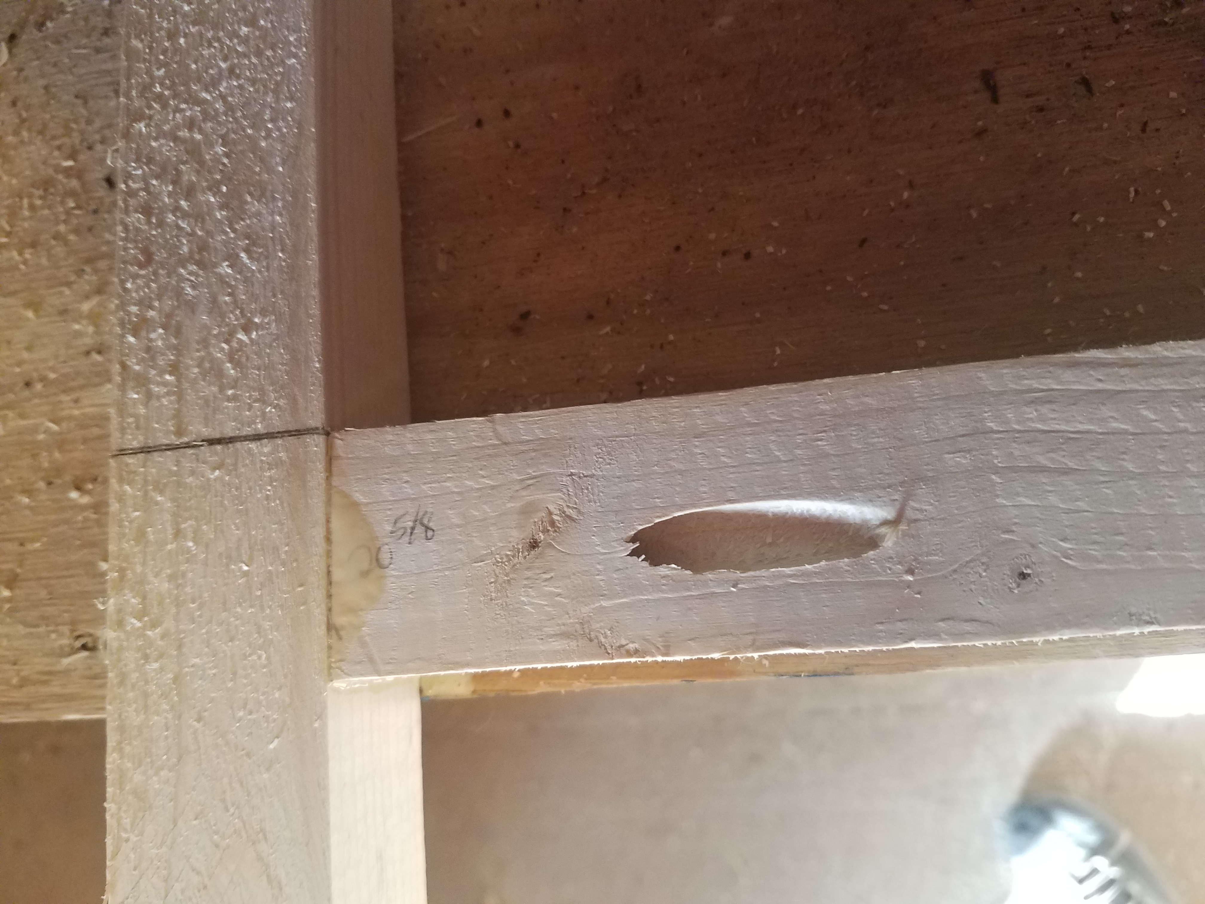 A wood joint showing a pocket hole kreg jig and wood glue